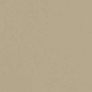 metalloverniciato champagneperlato 2