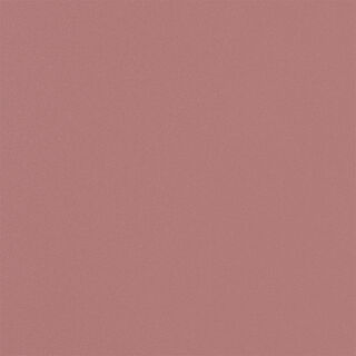 metalloverniciato ororosa 2