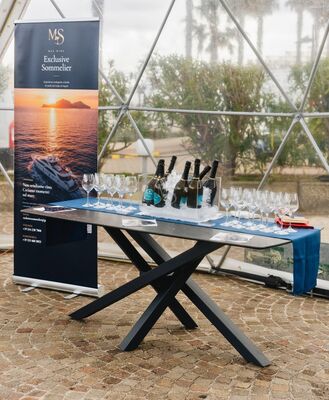 boat show gallery 04