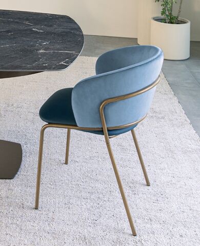 vela bicolor bitessuto